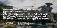 UN Decade of Restoration Flagship Award for Sri Lanka