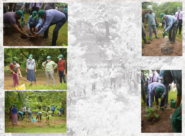 Desertification day 2022 1