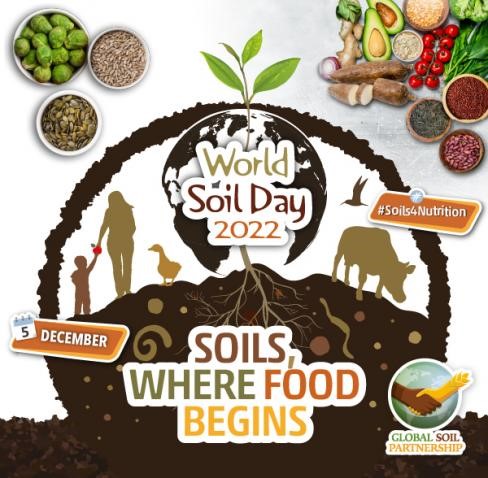 soil day 2022